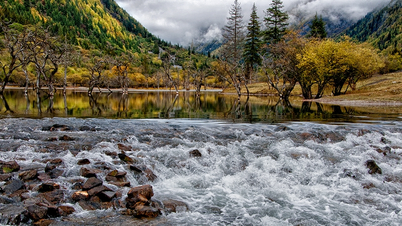 1005 - HIDDEN VALLEY - LO MIMI - canada.jpg